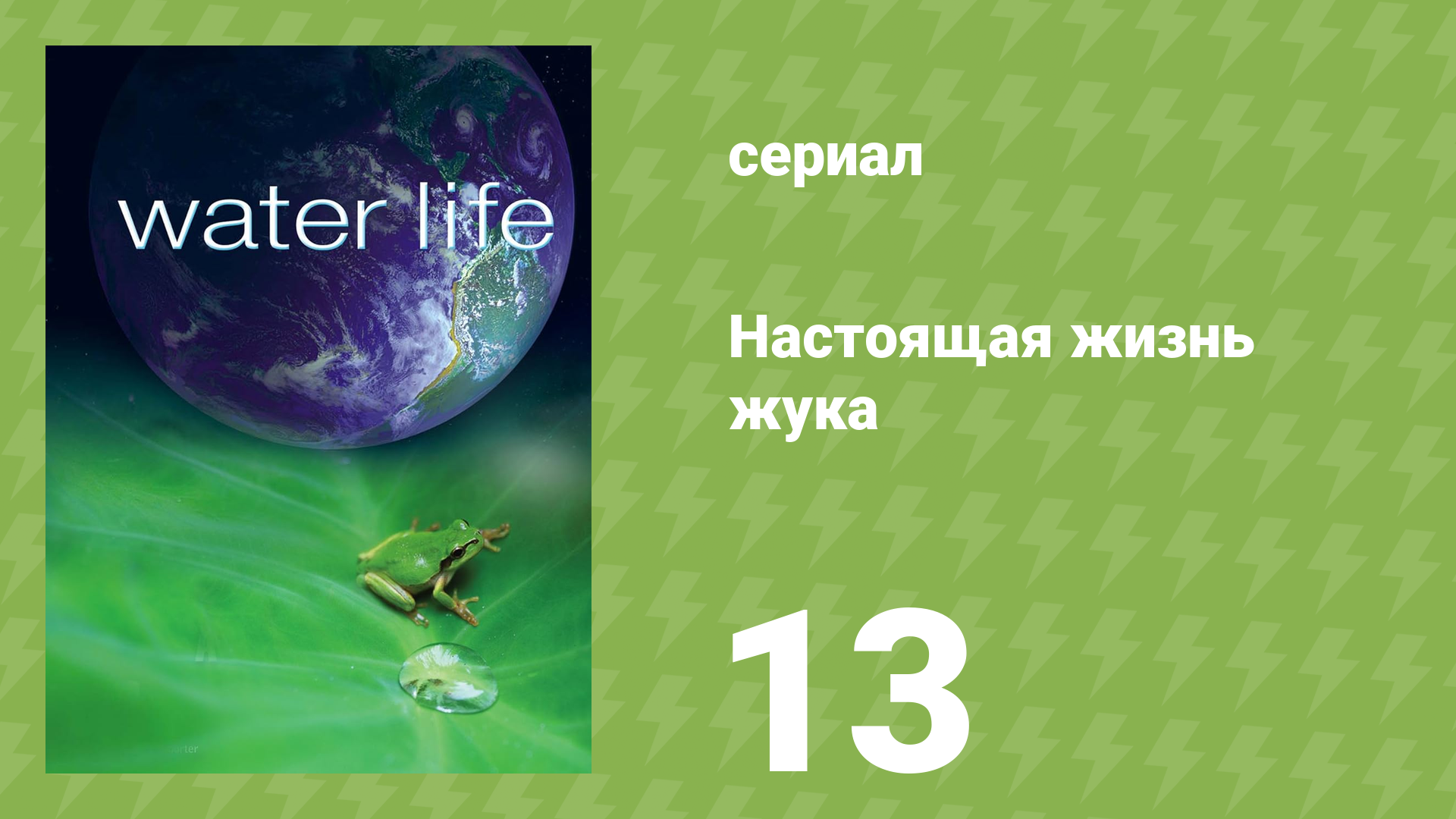 Водная жизнь 13 серия «Вода в джунглях» (документальный сериал, 2009)