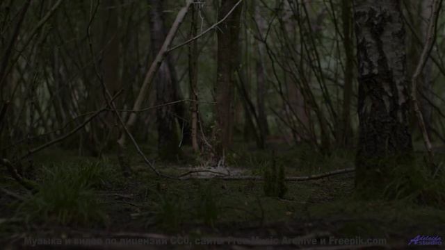 Это видео создано для жителей 3023 года - но доступно вам сейчас! - in accordance to natural law --