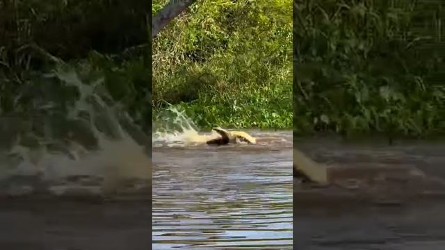 Страшная штука этот ЯГУАР.