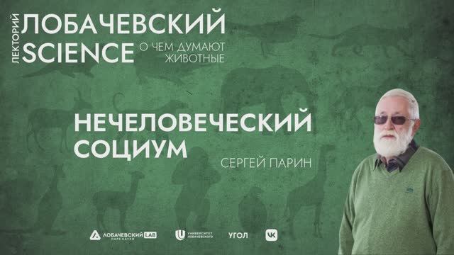Цикл лекций Сергея Парина «О чем думают животные». Лекция 3 «Нечеловеческий социум»