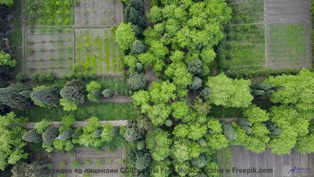 Эта музыка - ваш саундтрек для бесконечного путешествия вдвоём - Wessex Dream -- One Man Book -- Pot