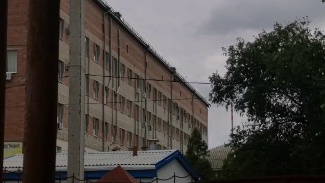 Много окон, летают птицы