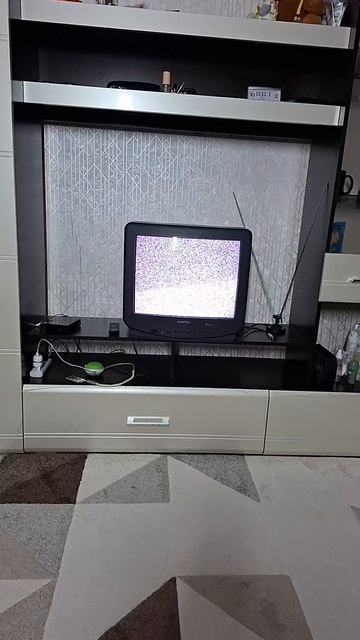 Вот что мы смотрим по вечерам