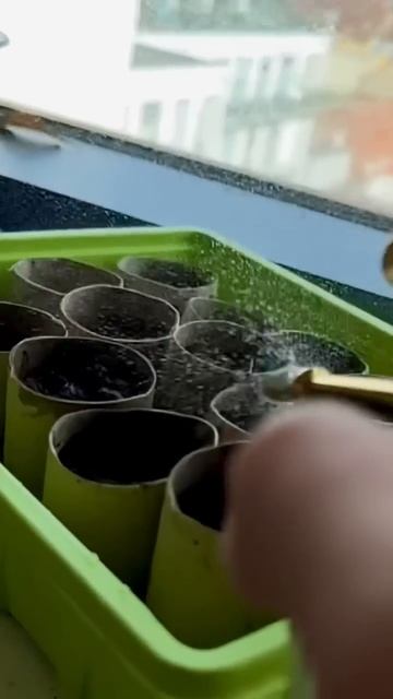 How to Recycle Toilet Paper Tubes | creative explained