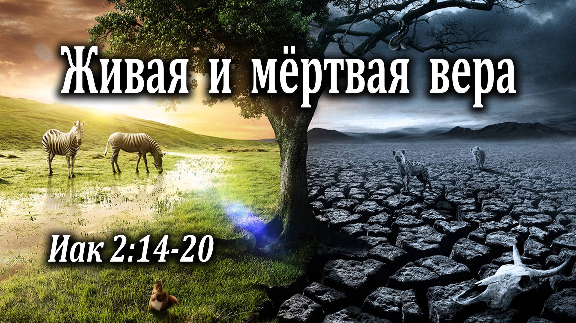 15.05.2022 "Живая и мёртвая вера" Иак 2:14-20 Инжеватов Евгений