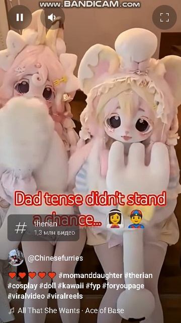 ♥️♥️♥️♥️♥️