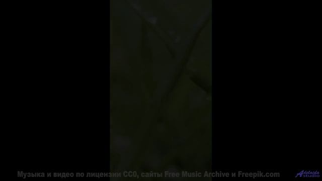 Леса и поля под этот трек - взрыв ощущений - Innards -- Ketsa -- Light Rising