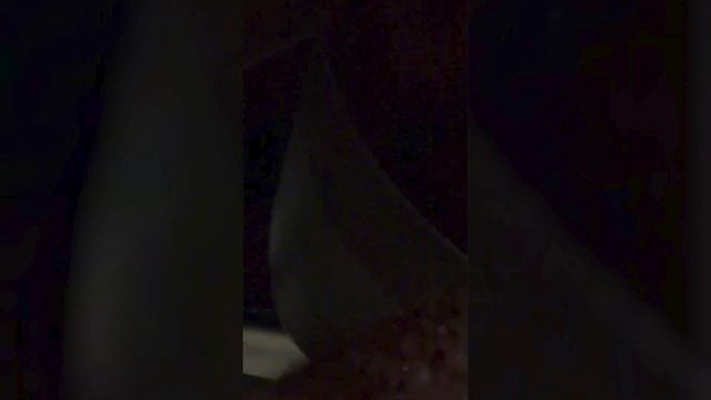На британскую авиабазу напали активисты на самокатах