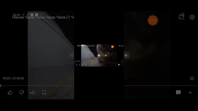 песня чипи чипи чапа чапа от 0.25 до 2.0 (2)