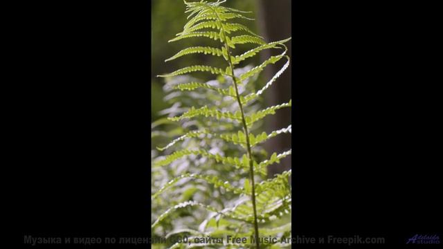 Ощущение полёта длится столько, сколько звучит трек - Keep Stepping -- Kirk Osamayo -- Season Two (O