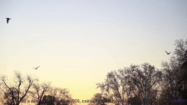 Ваша душа взлетит под эту музыку и эти виды - Help Desk -- Derek Clegg -- Good Graces
