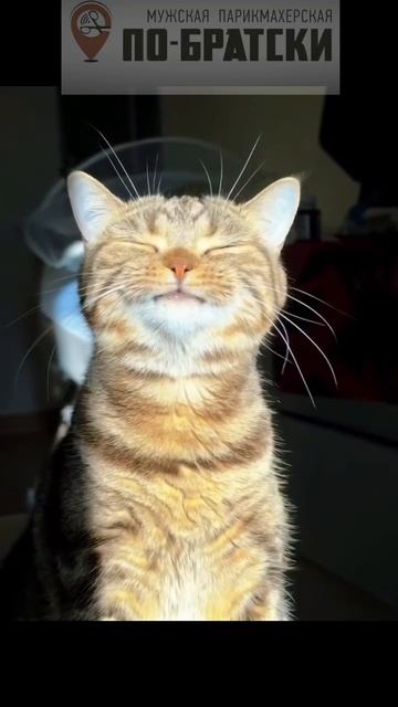 Админ,который на пять минуточек вышел в магазин😁