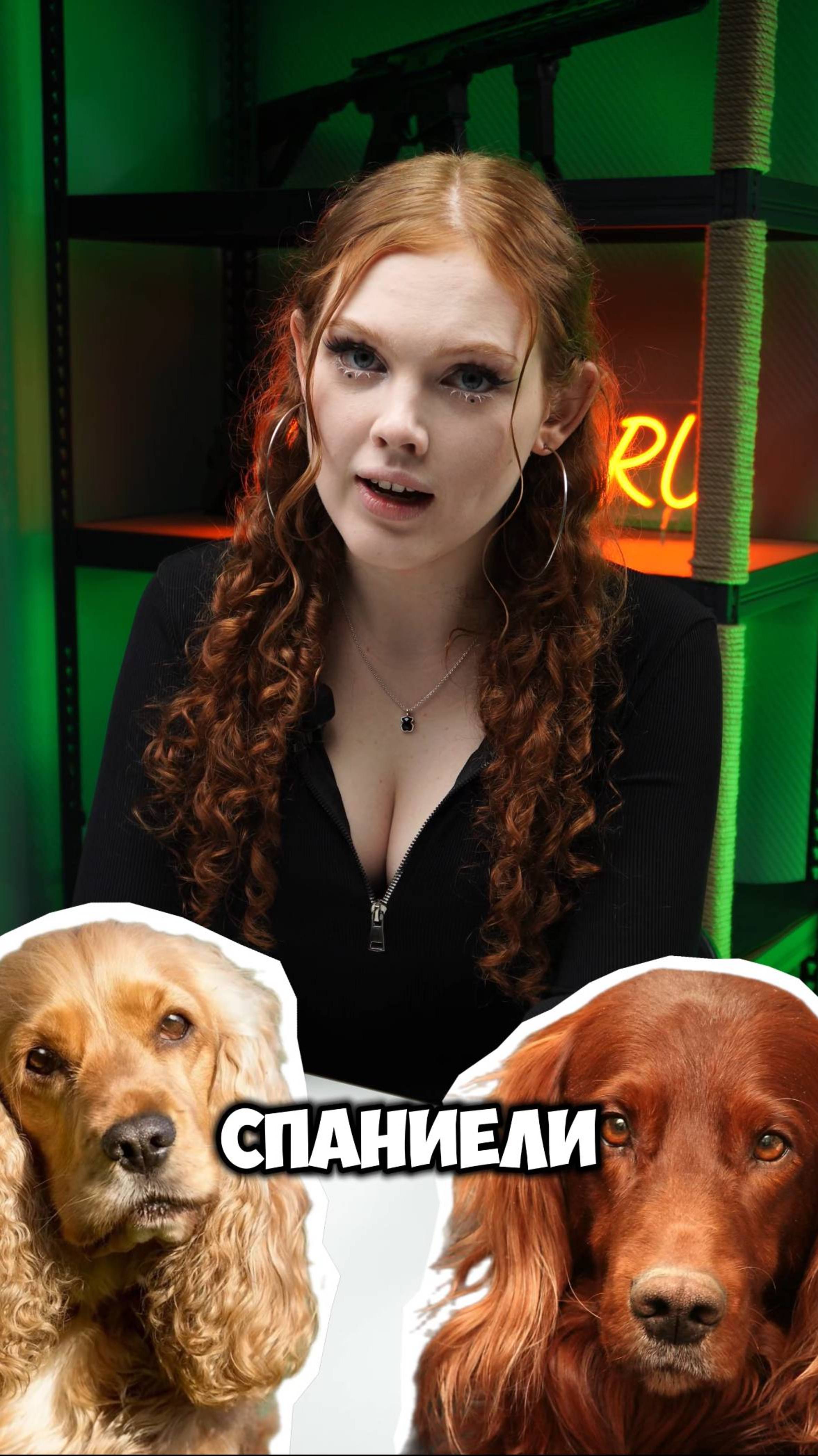 🐶 ЛУЧШИЕ ПОРОДЫ СОБАК ДЛЯ ОХОТЫ! #охота #тепловизор #тепловизионныйприцел #собака #охотассобакой