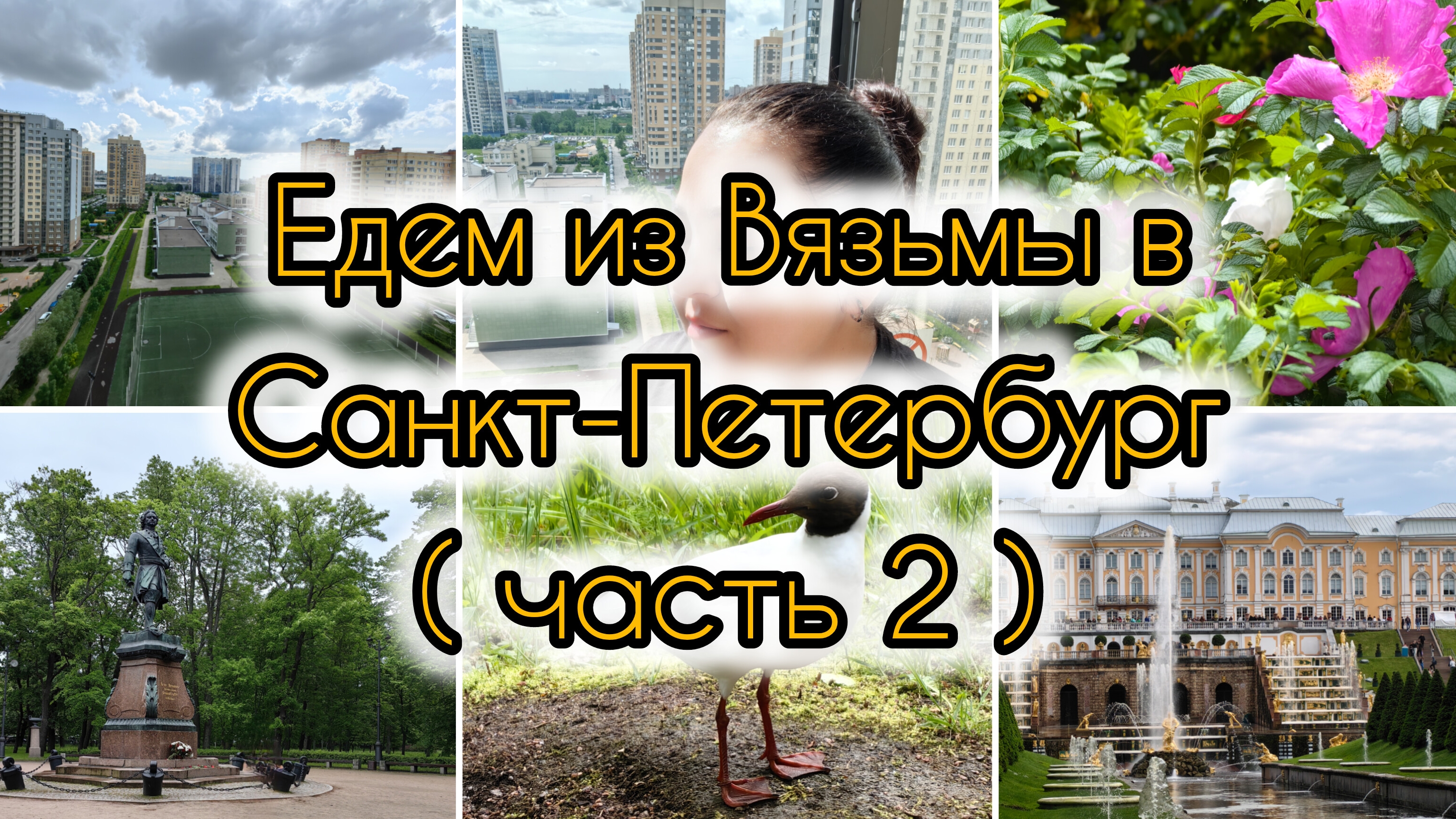 Едем в Санкт-Петербург из Вязьмы | День второй | Кронштадт и Петергоф