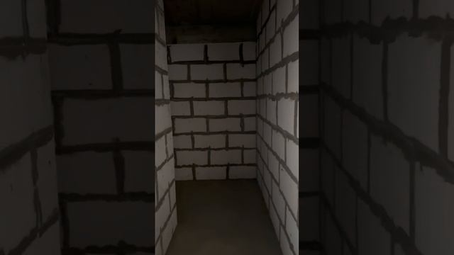 61,02