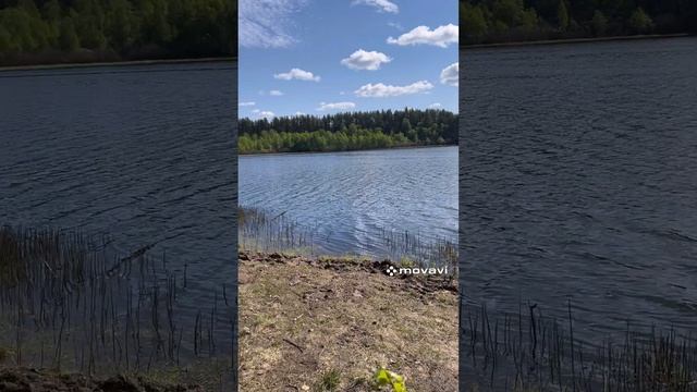 Первая рыбалка и рыба без головы.