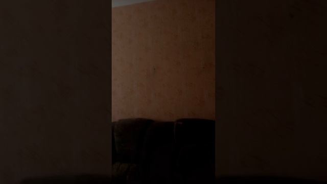 Новая квартира?