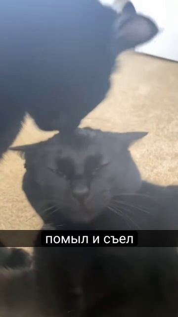 что-то с чем-то