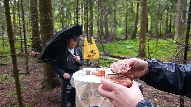 Консервы Чижик