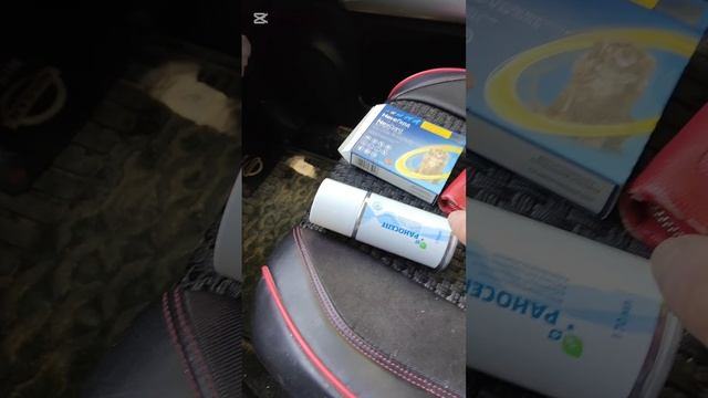 Подписчица из Германии прислала деньги на Нексгард для щенков