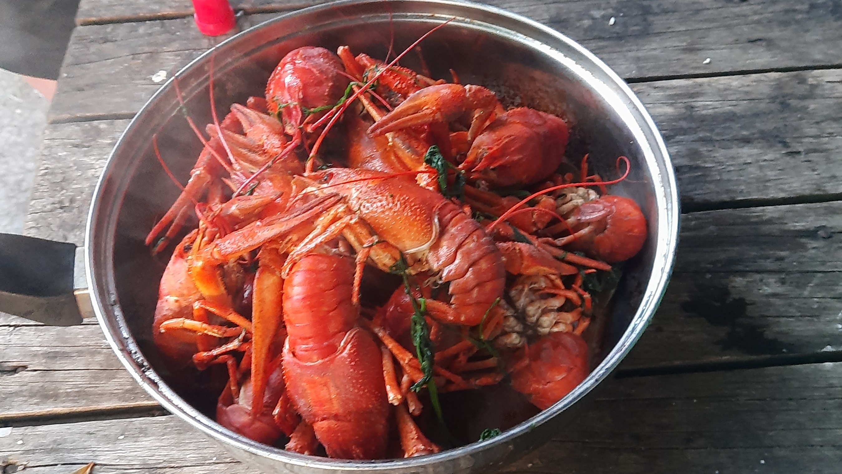 Раки, ах раки