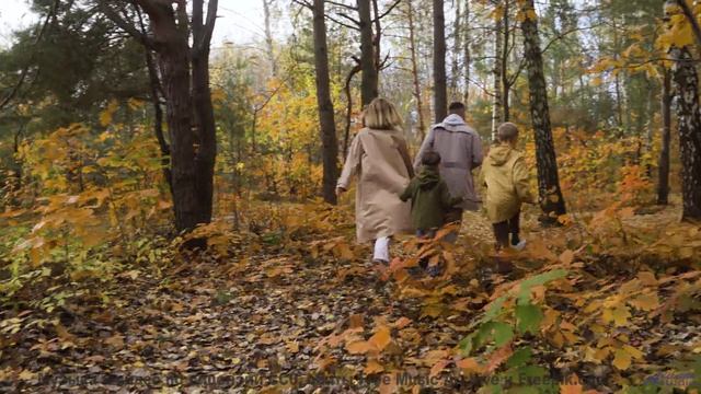 Кадры, сгенерированные нейросетью за секунду - технологии будущего! - 8 X 10 -- Taylor Poe -- Safe B