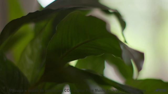 Музыка несёт сквозь миры быстрее любого транспорта - Disturbing Hybrid -- One Man Book -- Life is a