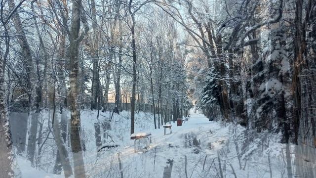 Лето и зима в Партизанске