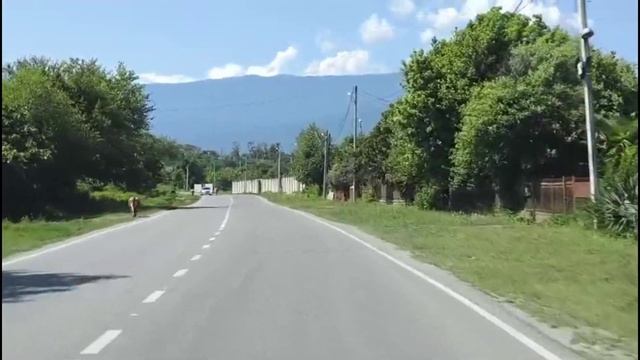 По дорогам Абхазии