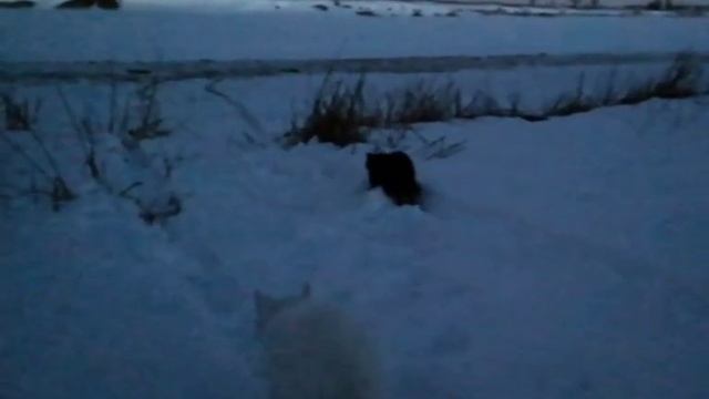 すべてがうまくいくでしょう。