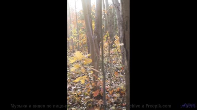 Пейзажи звучат громче слов под такой мелодичный фон - Coming Of Age -- Derek Clegg -- Man on the Run