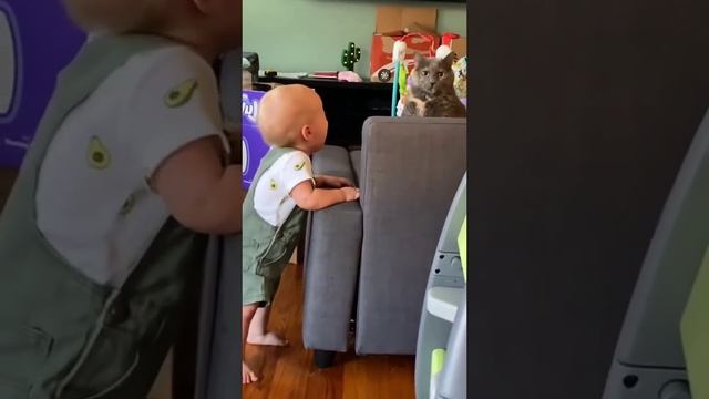 VID_20250621_090818_509.mp4