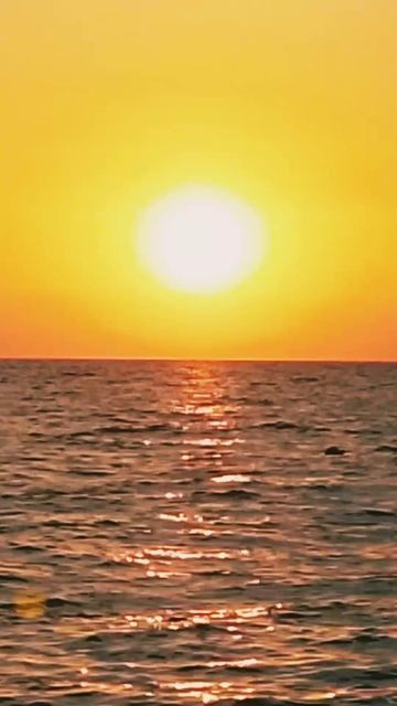 YouCut_20250621_123902076.mp4