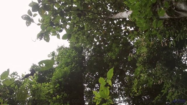 Трек, который вы будете слушать, когда в сотый раз заблудитесь вместе - Shes The Greatest Dancer --