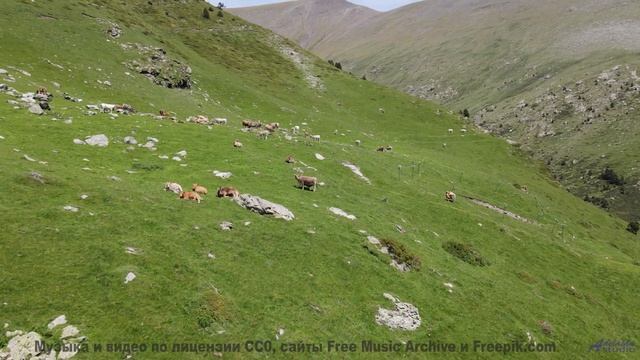 Леса дышат, когда играет эта потрясающая мелодия - (This Is Not) Normal -- Famous Logs In History --