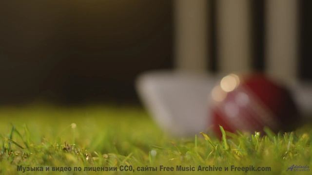 Виды становятся частью вас вместе с этой мелодией - Amanecer (XXX) -- opo -- Estudios Indigeniformes