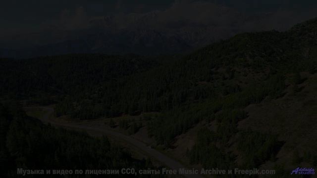 Звук, который слышат только обладатели чипов - а вы - 09 Demander -- Shaolin Dub -- Preservation