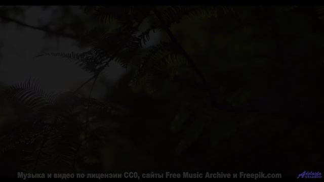 Двигайтесь под этот ритм - пусть дорога ведёт вас к новым открытиям - Iceberg -- God is gay -- Tourn