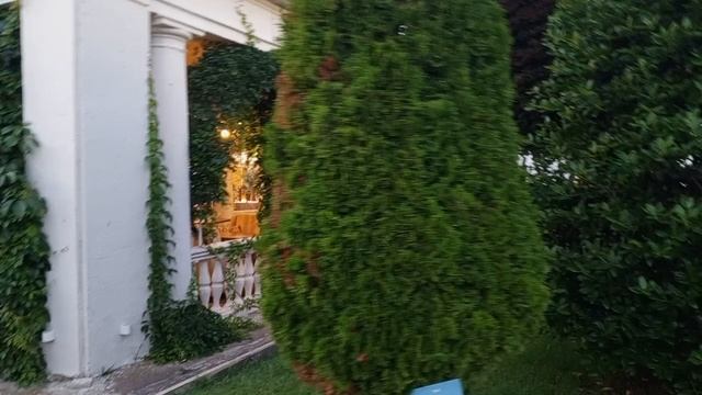 video_2025-06-21_11-57-40