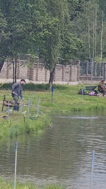 поимка карпа