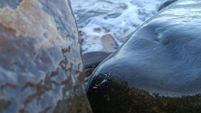 Про шум Моря Анапа 21.06.2025