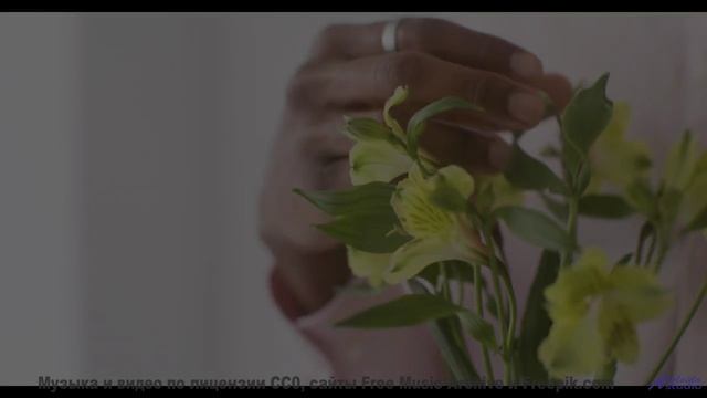 Кадры, снятые тахионной камерой - увидите будущее! - Not Stopping -- Ketsa -- Abundance