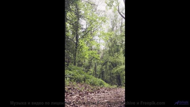 Эта мелодия программирует ваше подсознание - осторожно! - Moods -- Shaolin Dub -- The Great Divide