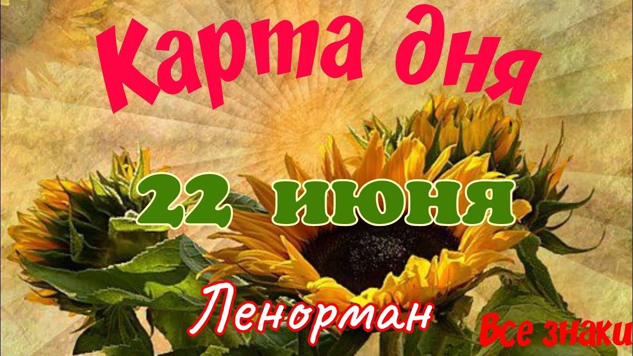 Карта дня 🍀 22 июня🦋🐞Ленорман. Тайм-код в описании🦢