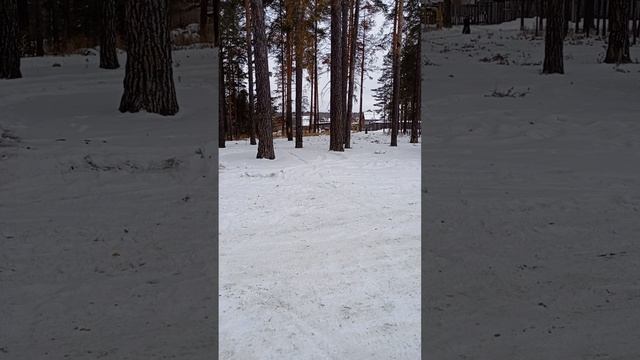 1000042046.mp4