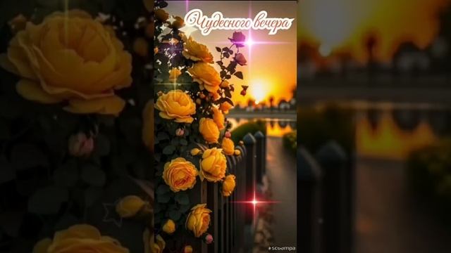 Добрый вечер💙 Уюта и тепла в ваш вечер🌠💜
