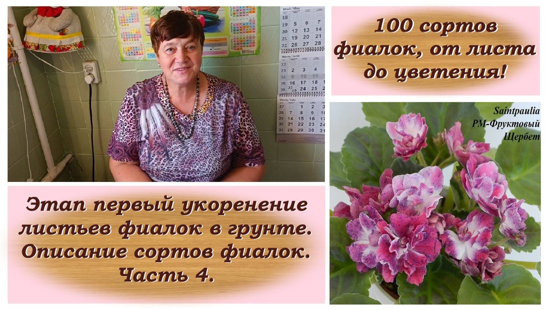 100 сортов фиалок, от листа до цветения! Укоренение листьев фиалок в грунте. Описание сортов фиалок!