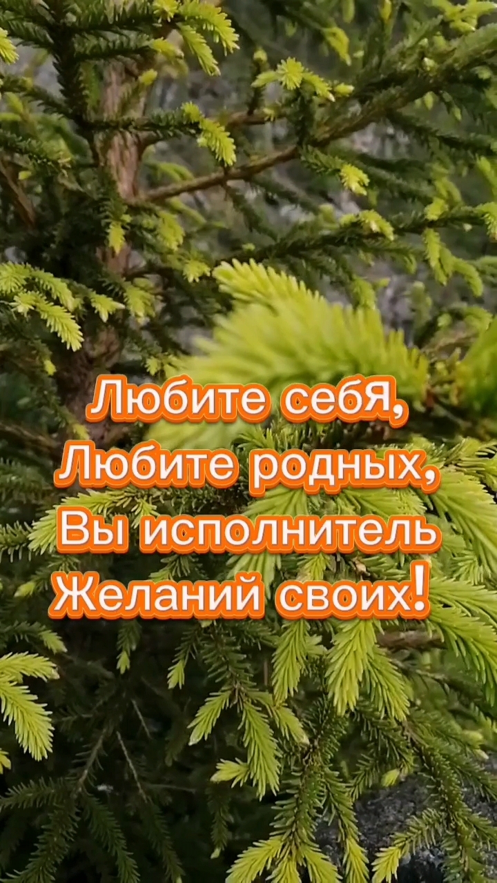 Любите себя! Любите природу! Любите в моменте! И душу откройте! #shortsvideo #short #nature