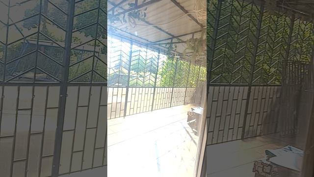 1000246700.mp4