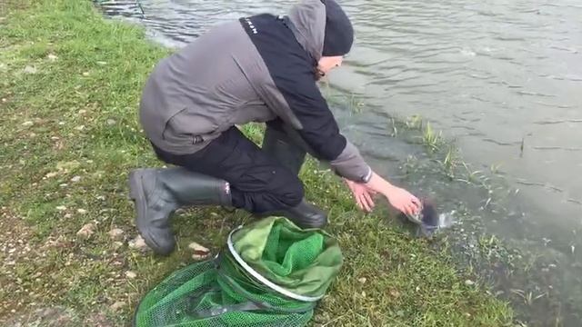 итоговый улов у Евгения на малом водоёме